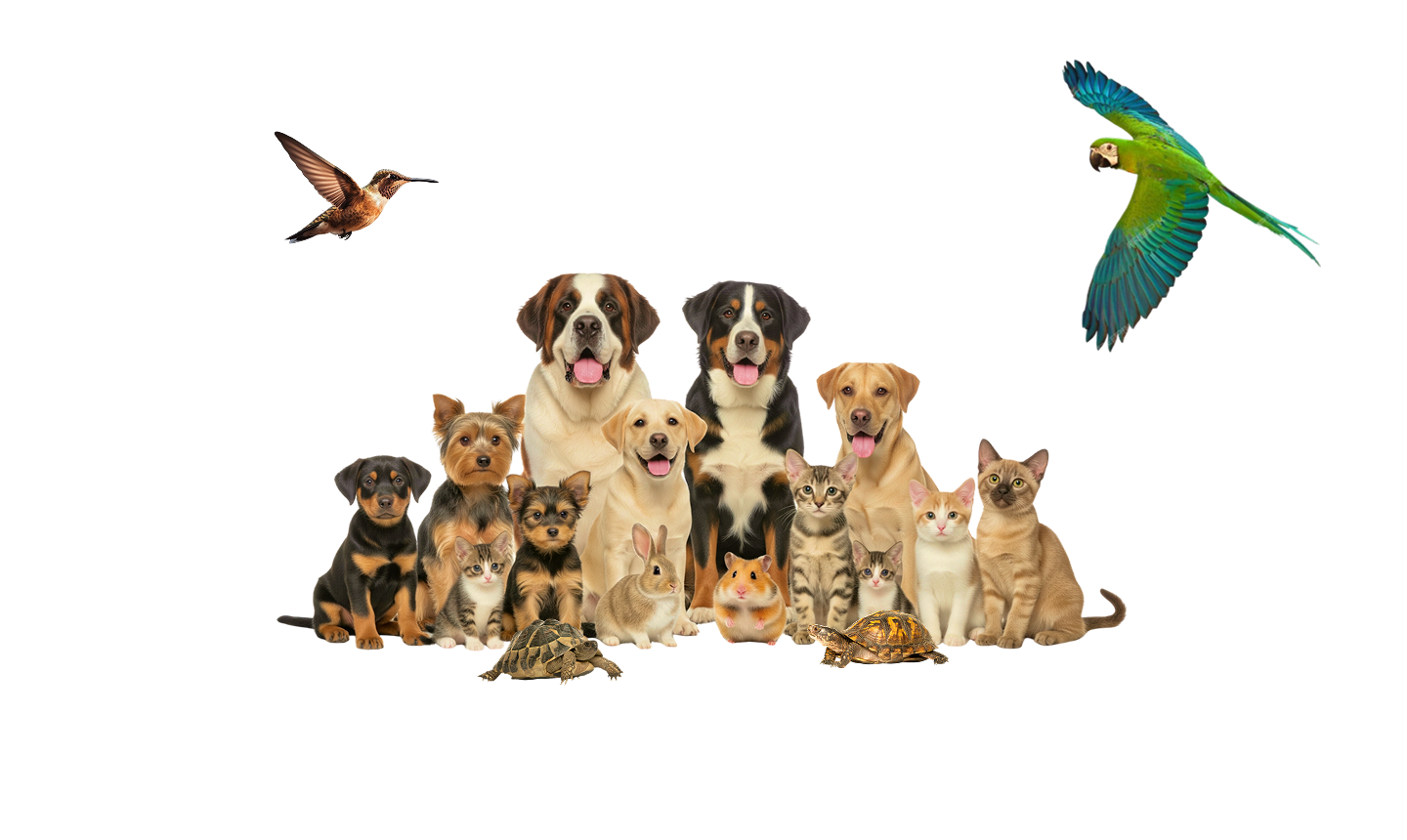 Happy family with pet