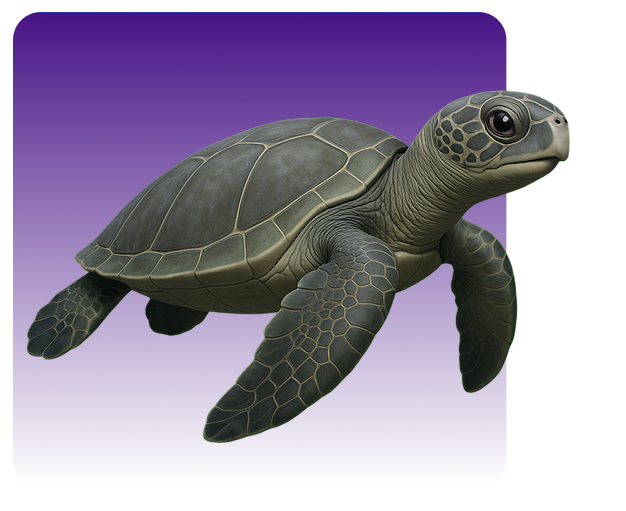 A turtle swimming underwater